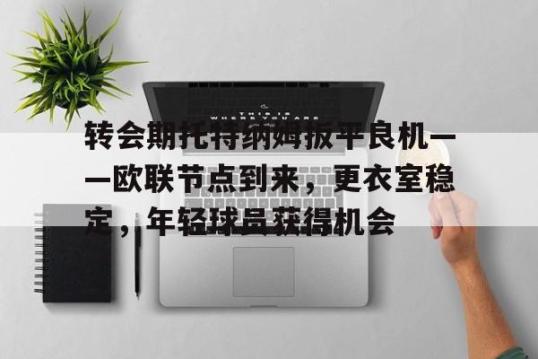 爱游戏官网-转会期托特纳姆扳平良机——欧联节点到来，更衣室稳定，年轻球员获得机会的简单介绍